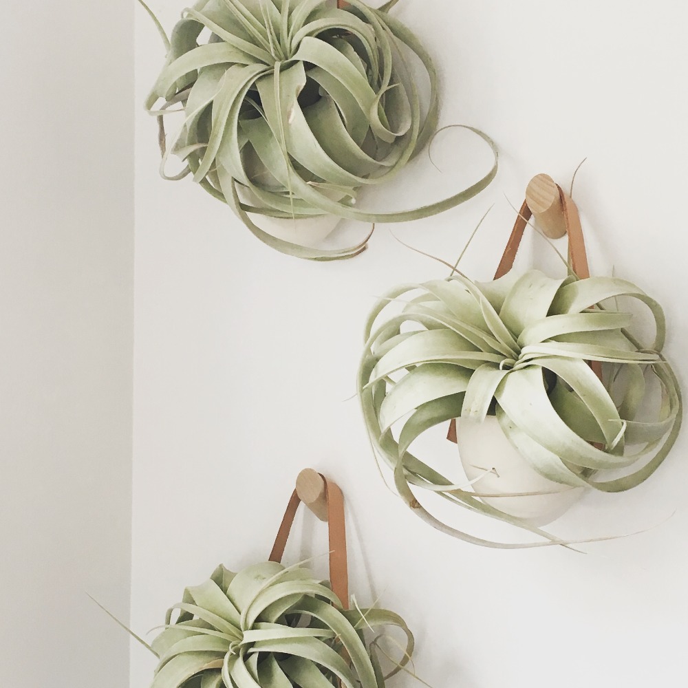 Meet your Posher, Thanh